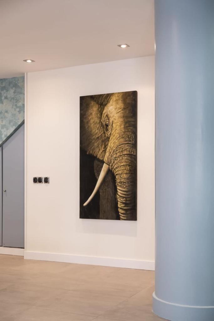 Apartmán Elefantes Rivas-Vaciamadrid Exteriér fotografie